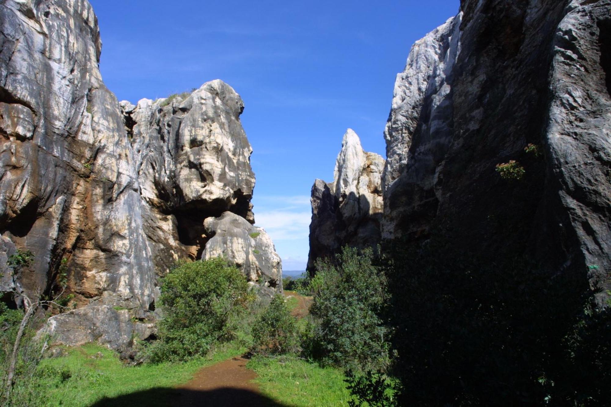 Las Navezuelas Cazalla de la Sierra Exteriör bild